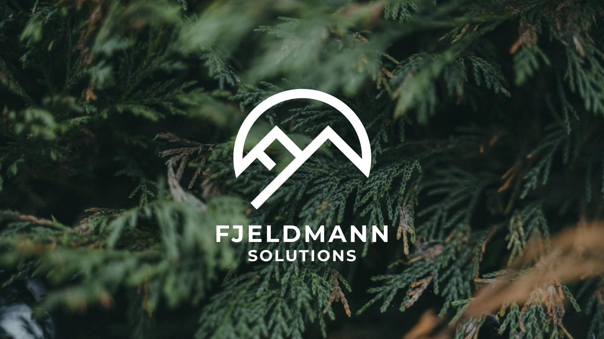 Fjeldmann Solutions logo